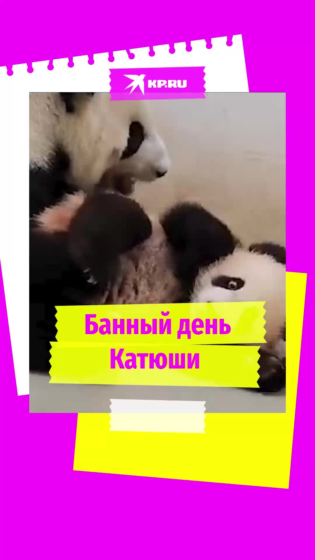 что значит быть счастливым человеком. счастливый человек это определение. сочинение на тему счастье. счастье это определение для детей. веселый человек это определение.