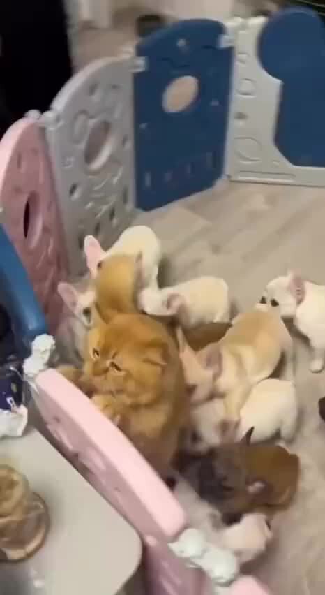 Шутки про снегурочку. Приходящее к нам случайно. Снегурочка ошиблась дверью. Мемы про первый снег. Снегурочка ошиблась дверью.