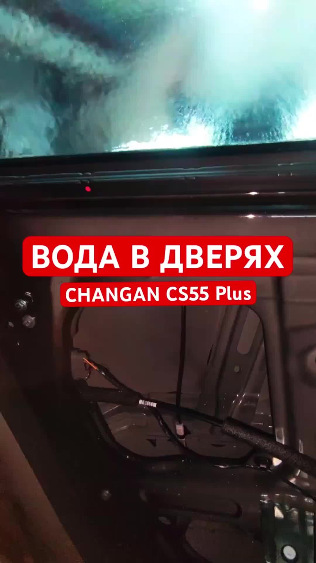 Plus автомобиль. Автошкольная машина. Gentra, nexia 3, cobalt. Машина телеканала. Машинка плюс машина равно.