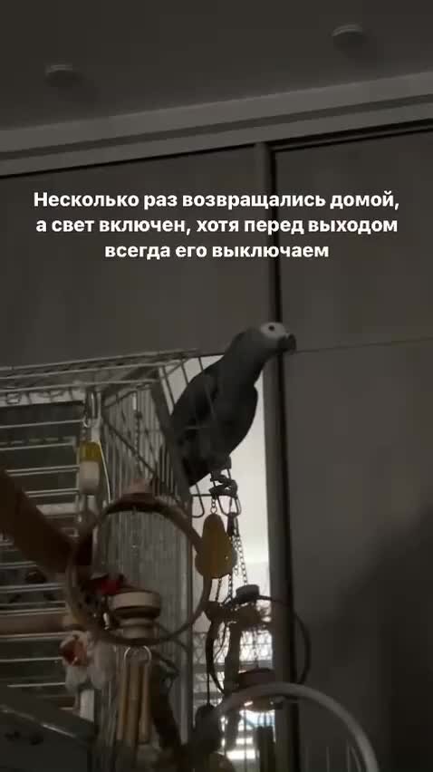 Научите нас жить семья бойченко