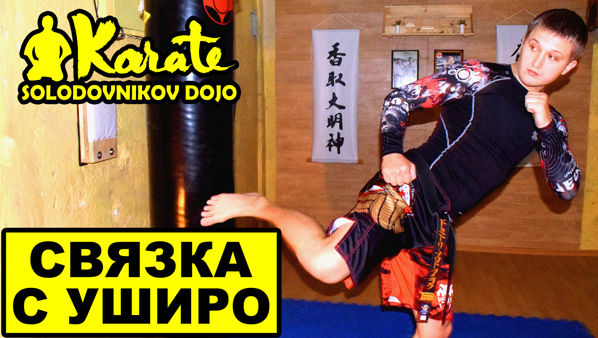 макивара для тренировки ударов. удары ногой сетокан каратэ. спарринг каратэ шотокан. лоу кик удар. боевые искусства удары ногами.