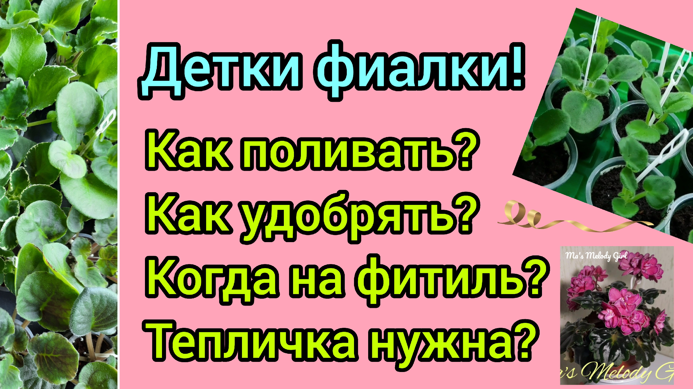 Фиалкин островок. Точечный полив для фиалок. Как выращивать фиалки на продажу. Детки в пазухах фиалки. Фиалки под ламкой детки.