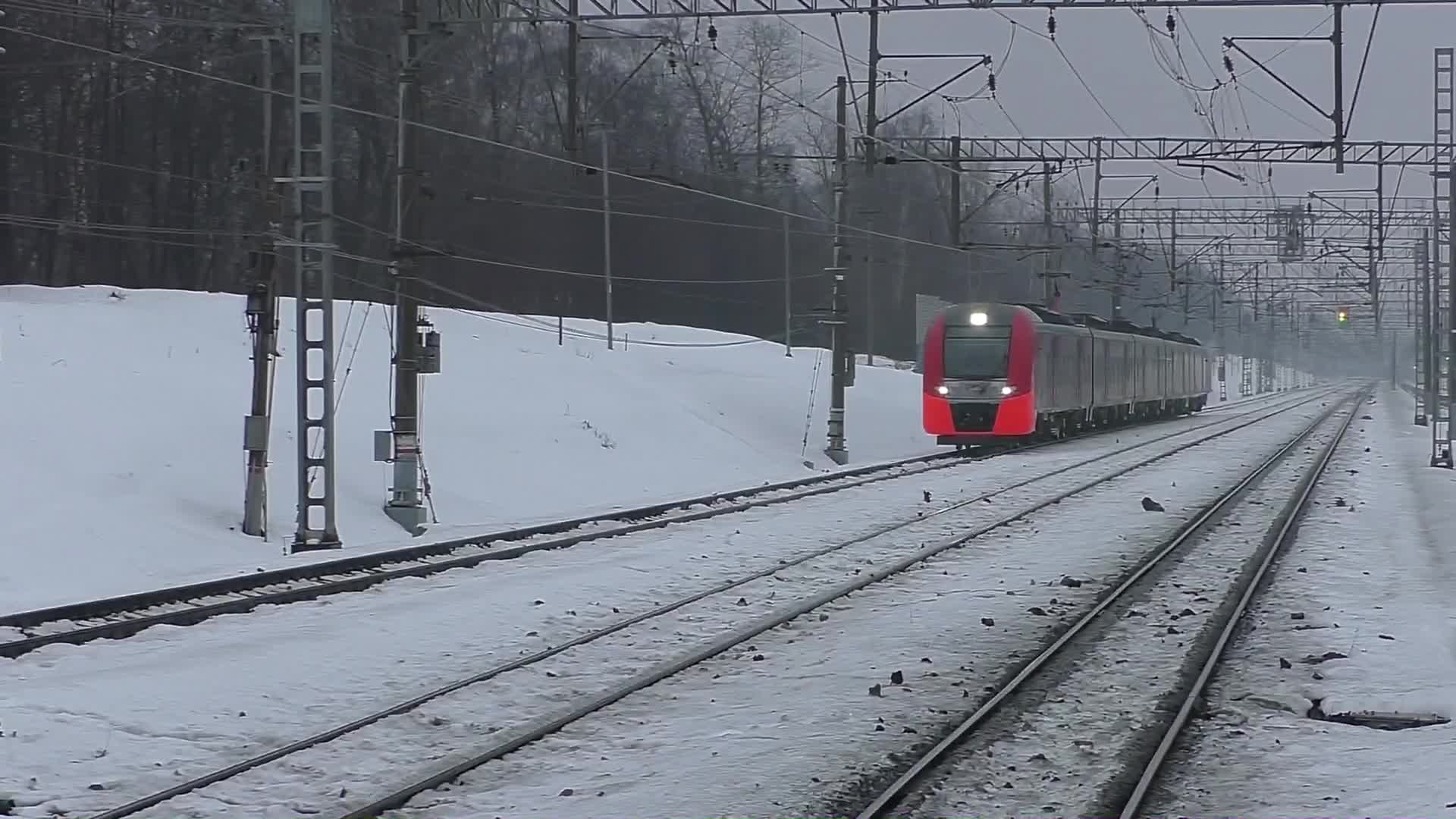 поезд ласточка в нижний новгород из москвы