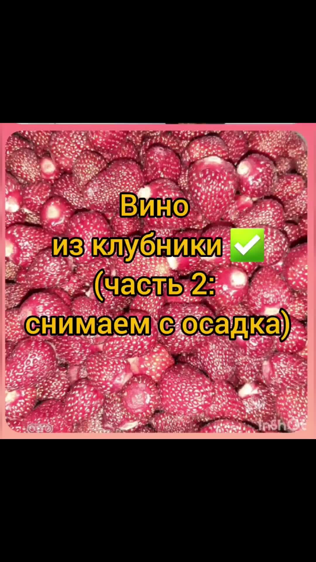 Дом за городом | Снимаем клубничное вино с осадка. О том, как сделать вино  из клубники смотрите 