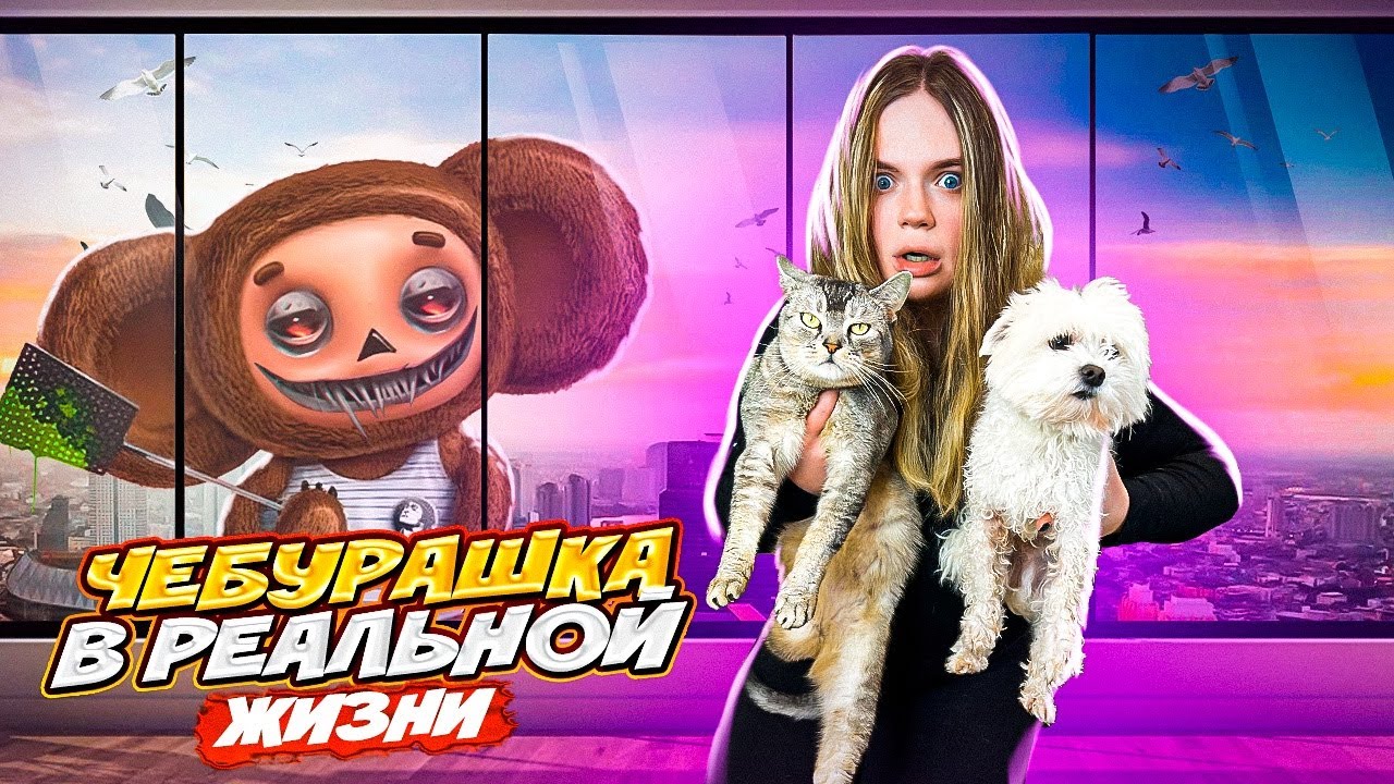 зверо пап. зверо пап. ляпота фэмили. зверомама и зверопапа. ляпота тв билли бой.