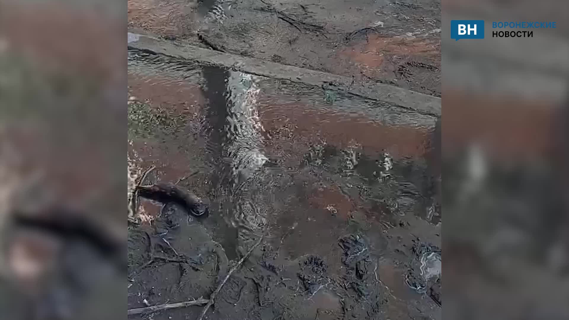 продолжение московского проспекта 2023. потоп фото. прорвало трубу. потоп канализации шишкова воронеж. воронеж прорыв.