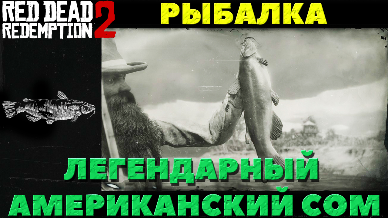 Рдр 2 легендарная озерный осетр. Rdr 2 сом. Рдр 2 легендарный канальный сом. Rdr 2 сом. Легендарный лосось rdr2.