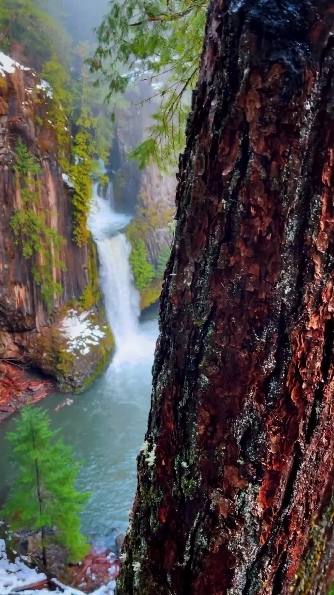 Toketee Falls