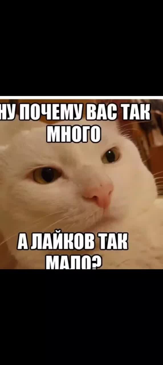 Ты где вообще. Мемы с надписями. Маша Мем. Мем с надписью.