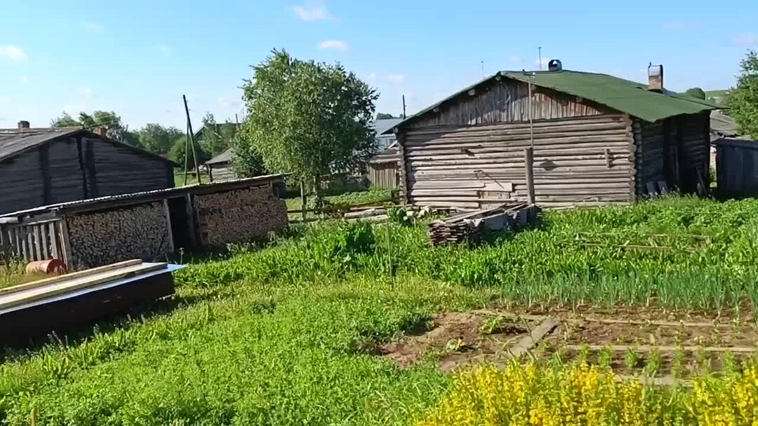 Будни олега на природе в коми