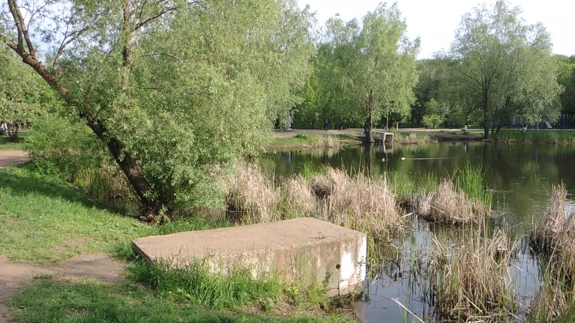 озера воронежской области