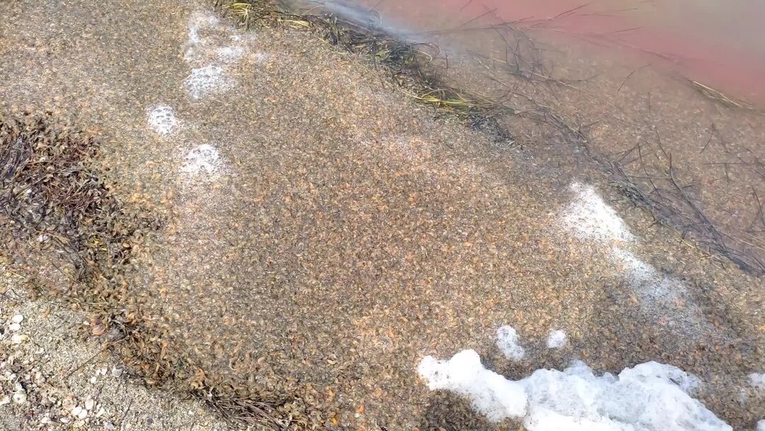 Экологический форум 2023 москва. Норильск грязный город. Экологические проблемы. Глобальные экологические проблемы человечества примеры. Экологический форум 2023 москва.