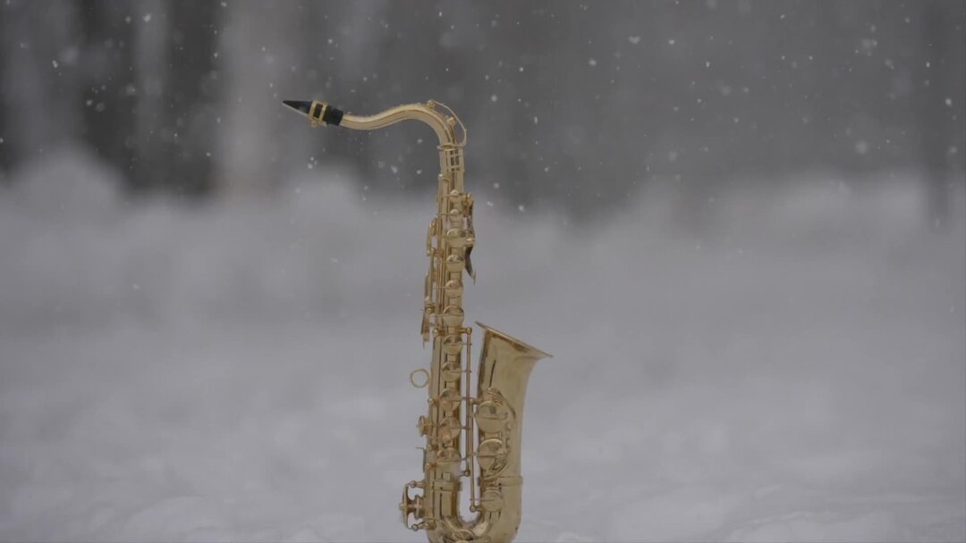 Обидин саксофон. Зимний саксофон. Саксофон на снегу. Саксофон на фоне зимы. Фото зима и саксофон.