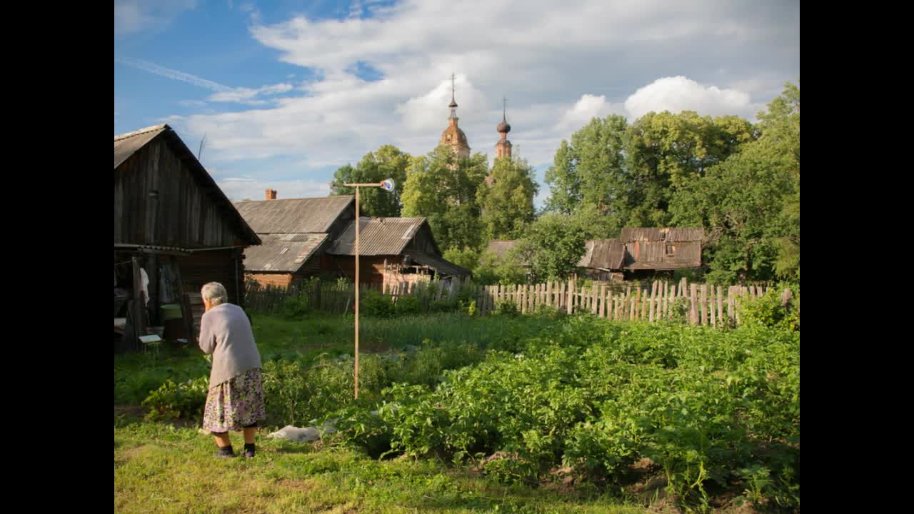 Живу одна в деревне