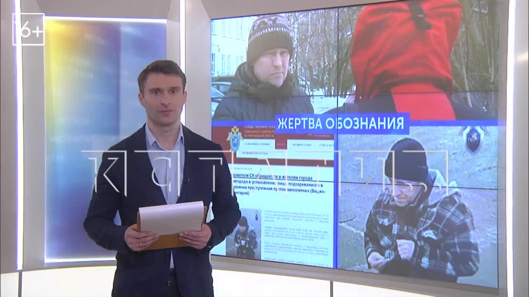 Отравили собак в 10-м микрорайоне г. Травля в брянске. Отравили бездомных собак вк. Отравили бездомных собак вк. Травля в брянске.