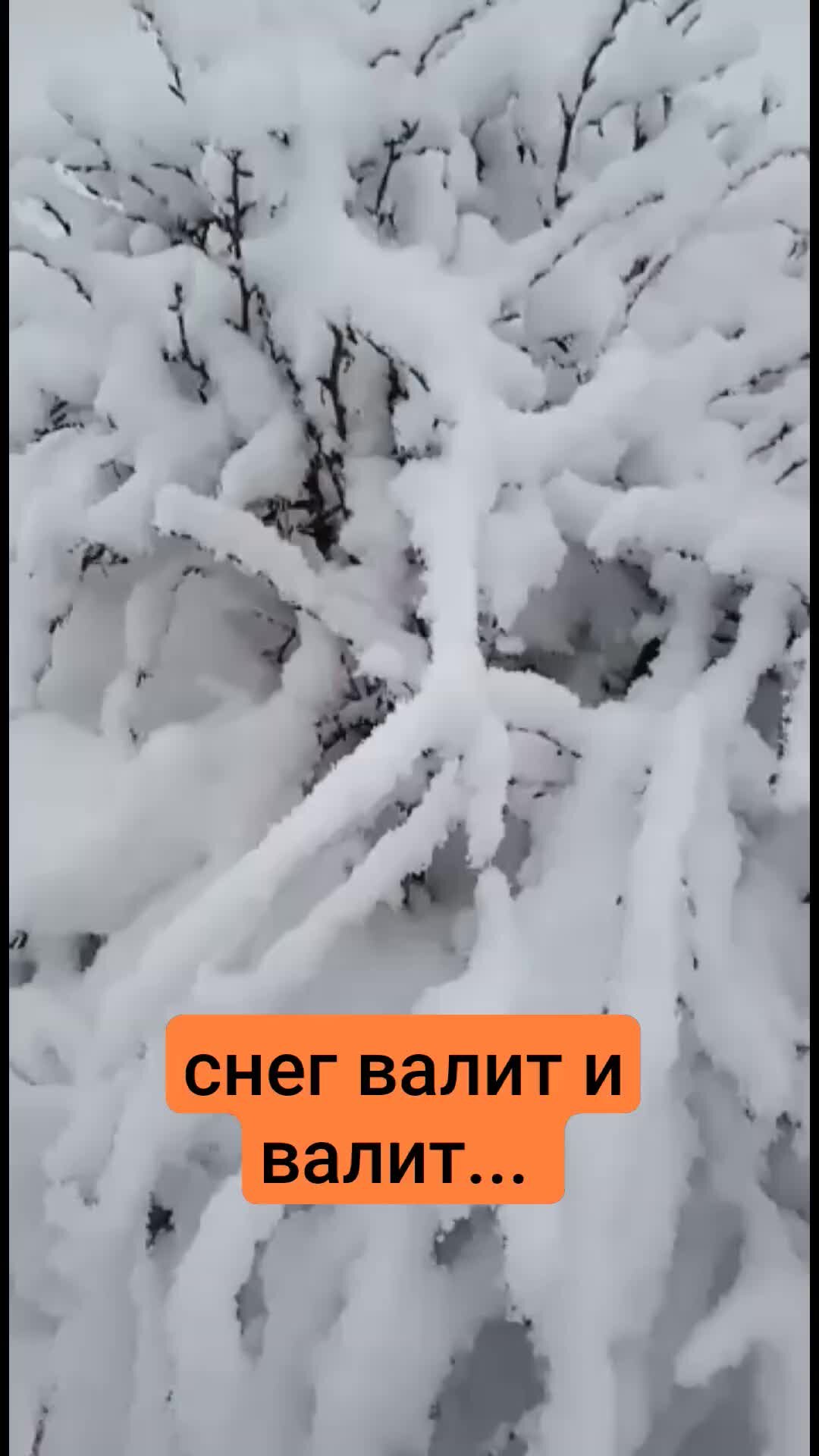 Снег + Тротуар