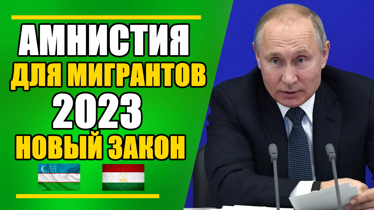 Проект амнистии 2023