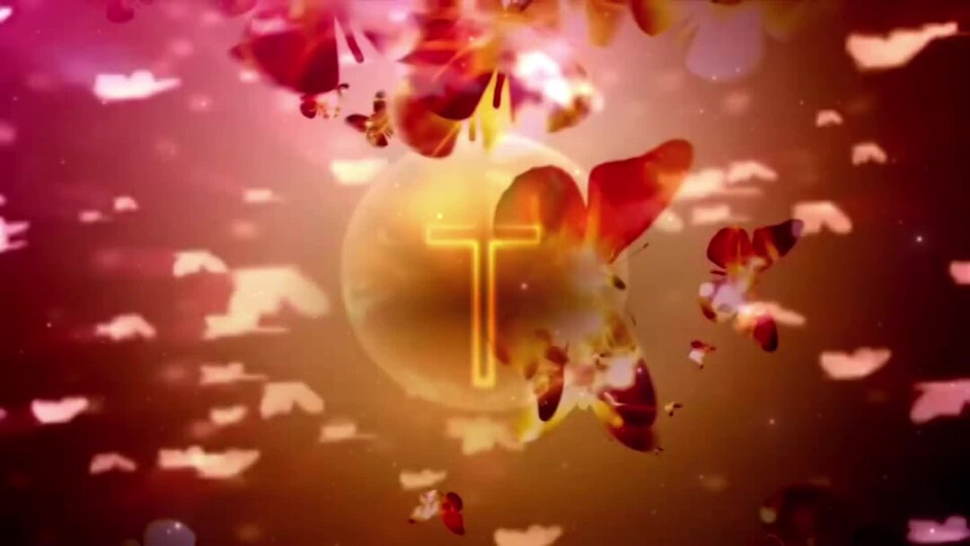 видео пусть всегда на земле расцветают цветы. поздравляем яблоня в цвету. клип пусть всегда на земле расцветает цветы. игорь наджиев пусть всегда на земле расцветают. весна в душе.