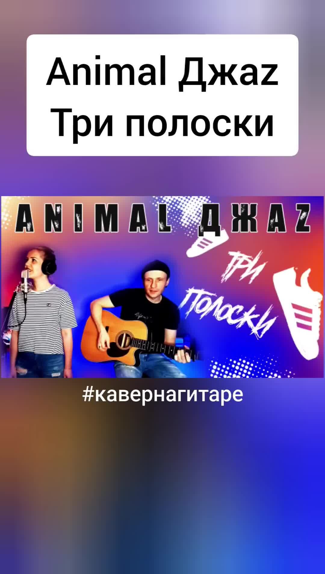 Vocal Без Бокала | Animal Джаz - Три полоски (кавер на гитаре)  #кавернагитаре #музыка #vocalбезбокала | Дзен