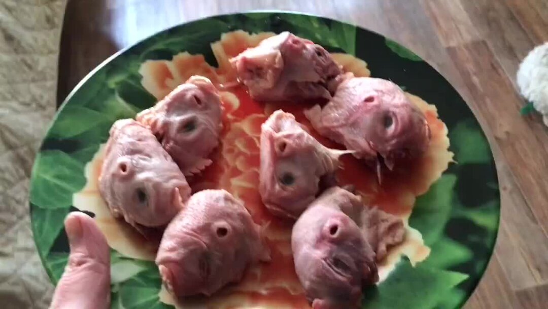 Куриные головы котам. Субпродукты головы куриные. Куриные головы котам. Натуральное кормление кошек. Куриные головы котам.