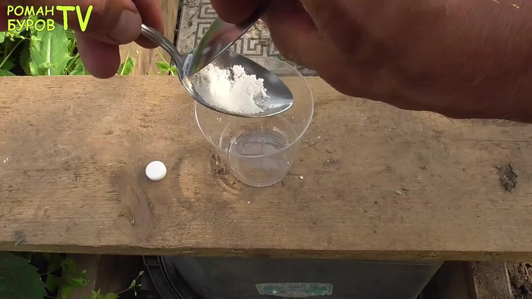 ИЗГОНЯЮ САДОВЫХ МУРАВЬЕВ ИЗ ТЕПЛИЦЫ ТАБЛЕТКАМИ ИЗ АПТЕКИ, ПОКАЗЫВАЮ ...