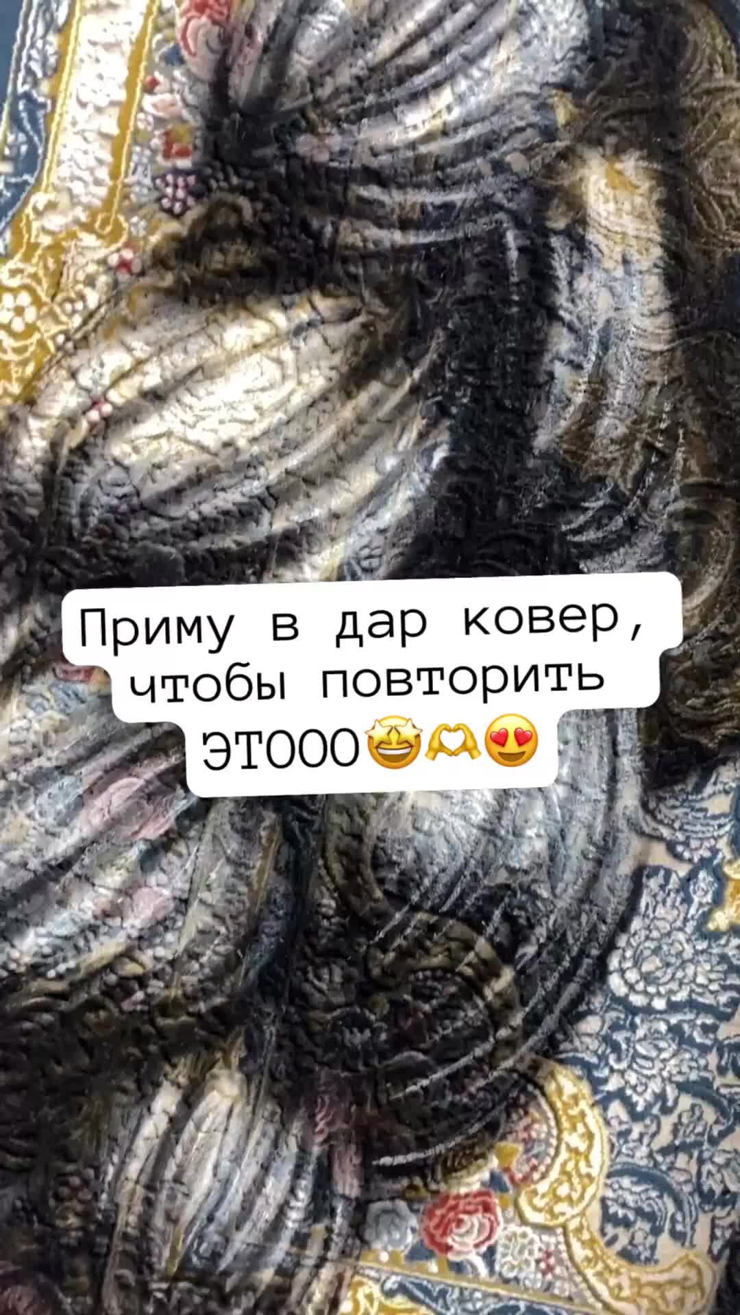 Продам/Отдам в дар домашнее животное