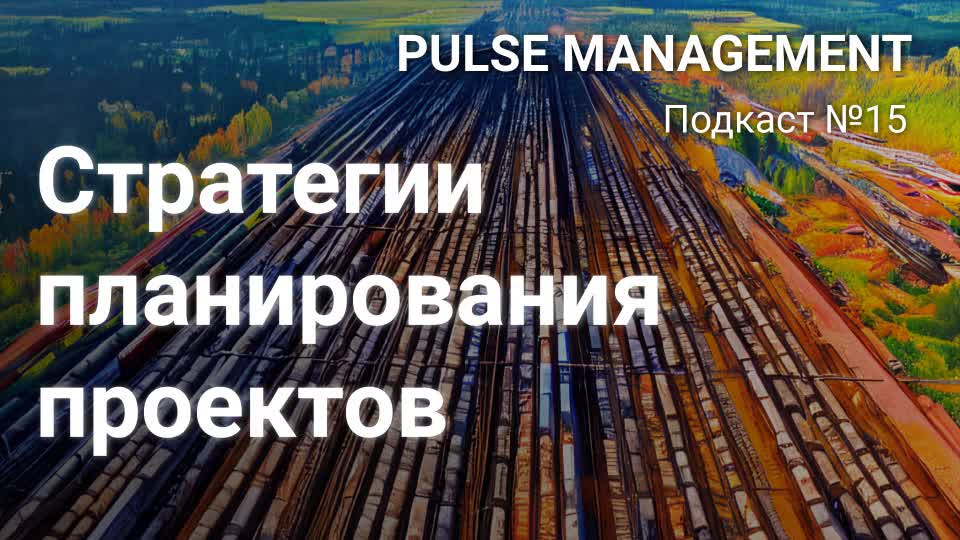 Bipulse управление проектами