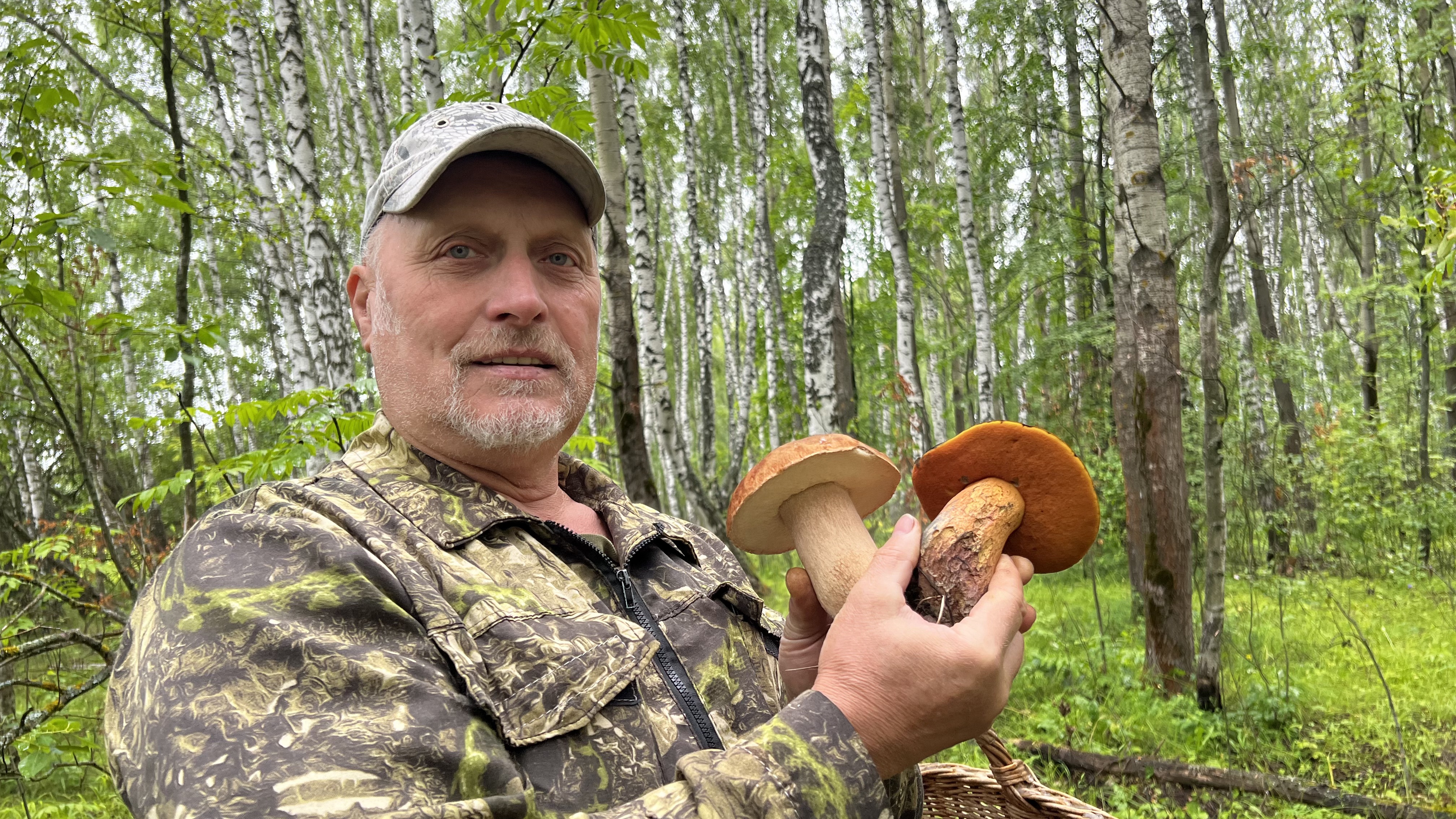 грибники пошли пять грибов нашли решение. грибы в подмосковье 2023. боровик. грибы видео 2023. грибы видео 2023.