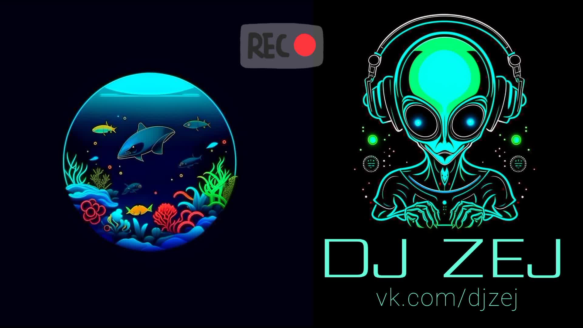 Электронные фестивали 2024. Туммороуленд 2022. 02. Диджей на концерте. Всемирный фестиваль молодежи 2024 сочи.