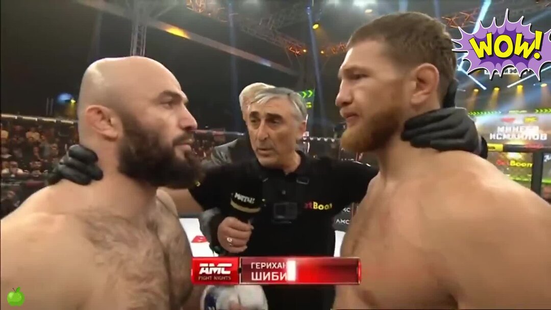 Магомед исмаилов минеев. Владимир минеев исмаилов бой. Бой минеев исмаилов реванш. Маг на полную ставку / quanzhi fashi. Мага пр.