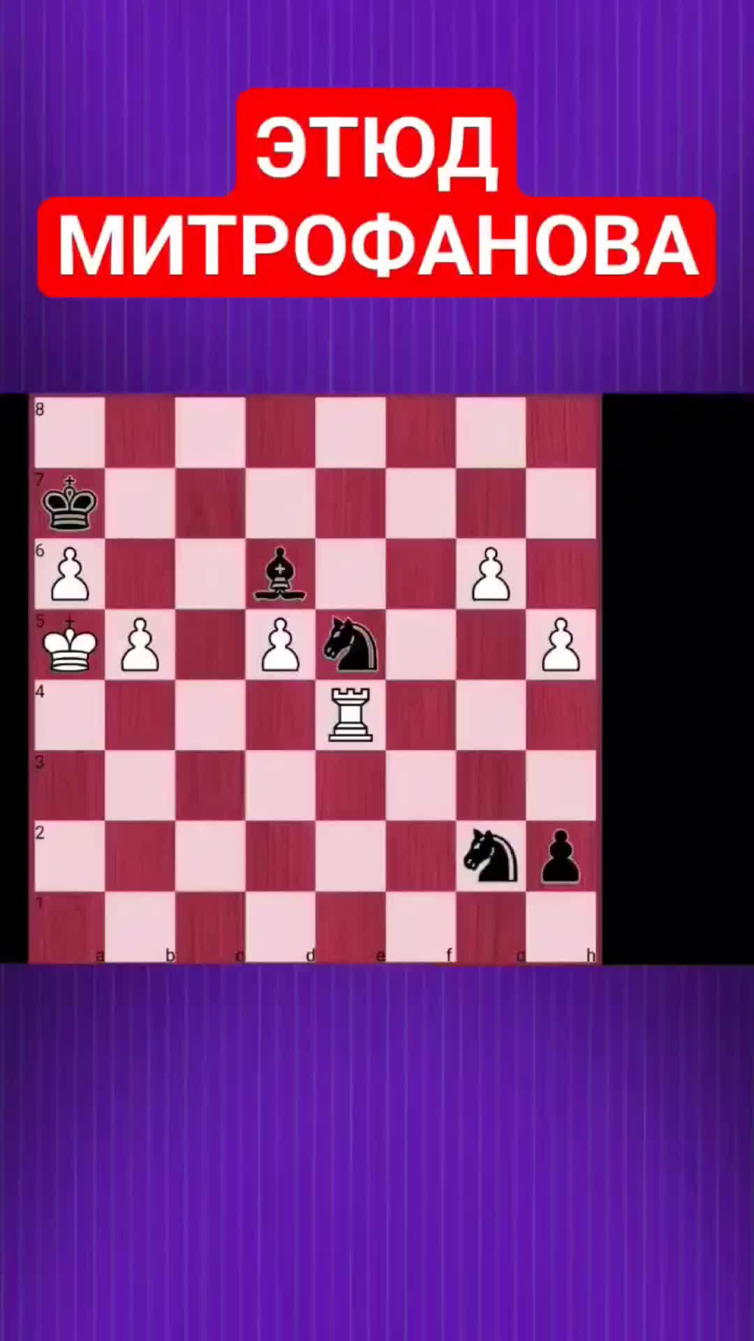 Шахматы Олег Соломаха | 💥САМЫЙ КРАСИВЫЙ ЭТЮД В ИСТОРИИ ШАХМАТ | Дзен