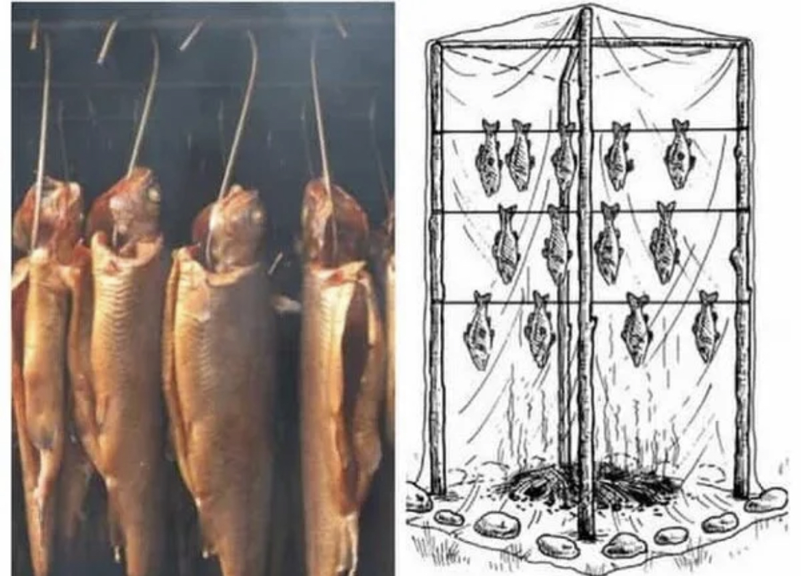 Перед копчением. Вешала для копчения. Холодное копчение рыбы в походных условиях. Копчение в полевых условиях. Вешала для коптильни.