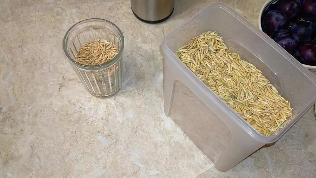 Настой овса для печени. Овсяный отвар для похудения. Настой овса для чистки. Отвар овса для очищения печени. Настой из овса.