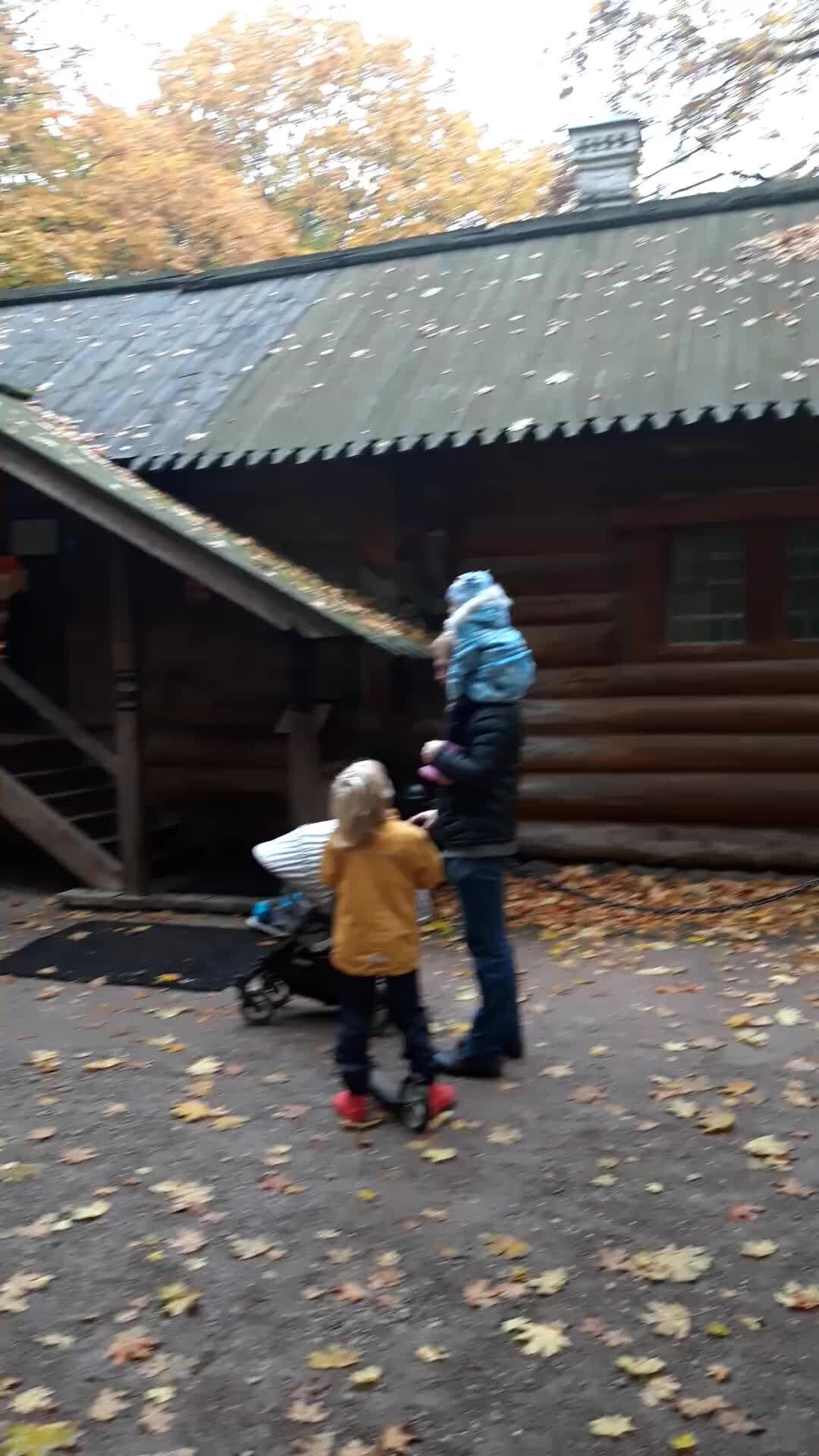 Почти историк | Домик Петра I в Коломенском — деревянный дом, построенный в  1702 году для Петра I во время визита царя в Новодвинскую крепость | Дзен