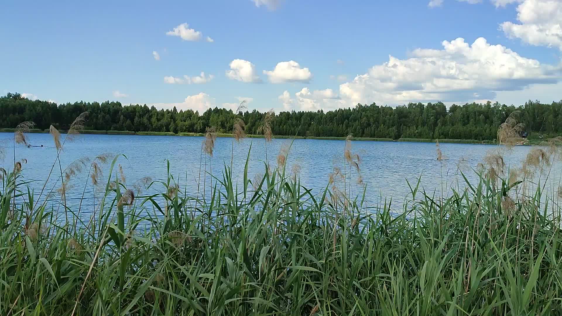 шиловское озеро воронеж