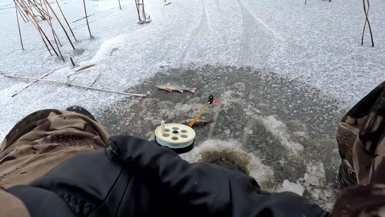 рыбалка зимой 2022 2023 года