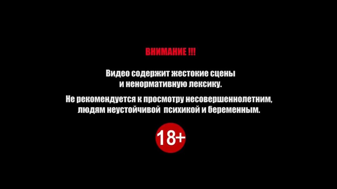 Предупреждение исключительные. Осторожно присутствует ненормативная лексика. Дисклеймер ненормативная лексика. Дисклеймер для игры. Не рекомендуется к просмотру.