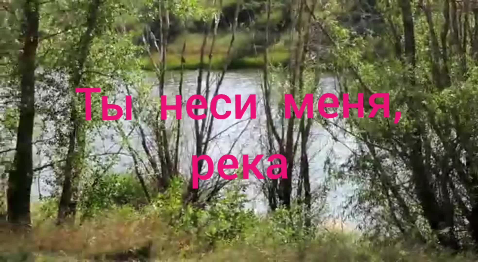 "Ты неси меня, река" и Любэ