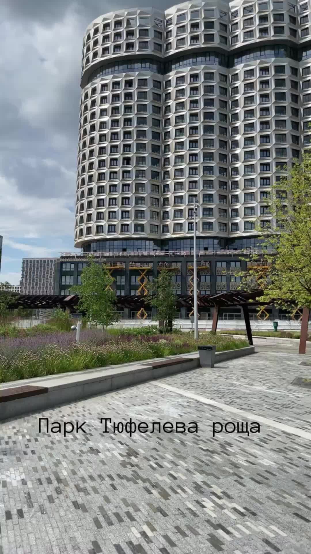 Тюфелева роща пруд
