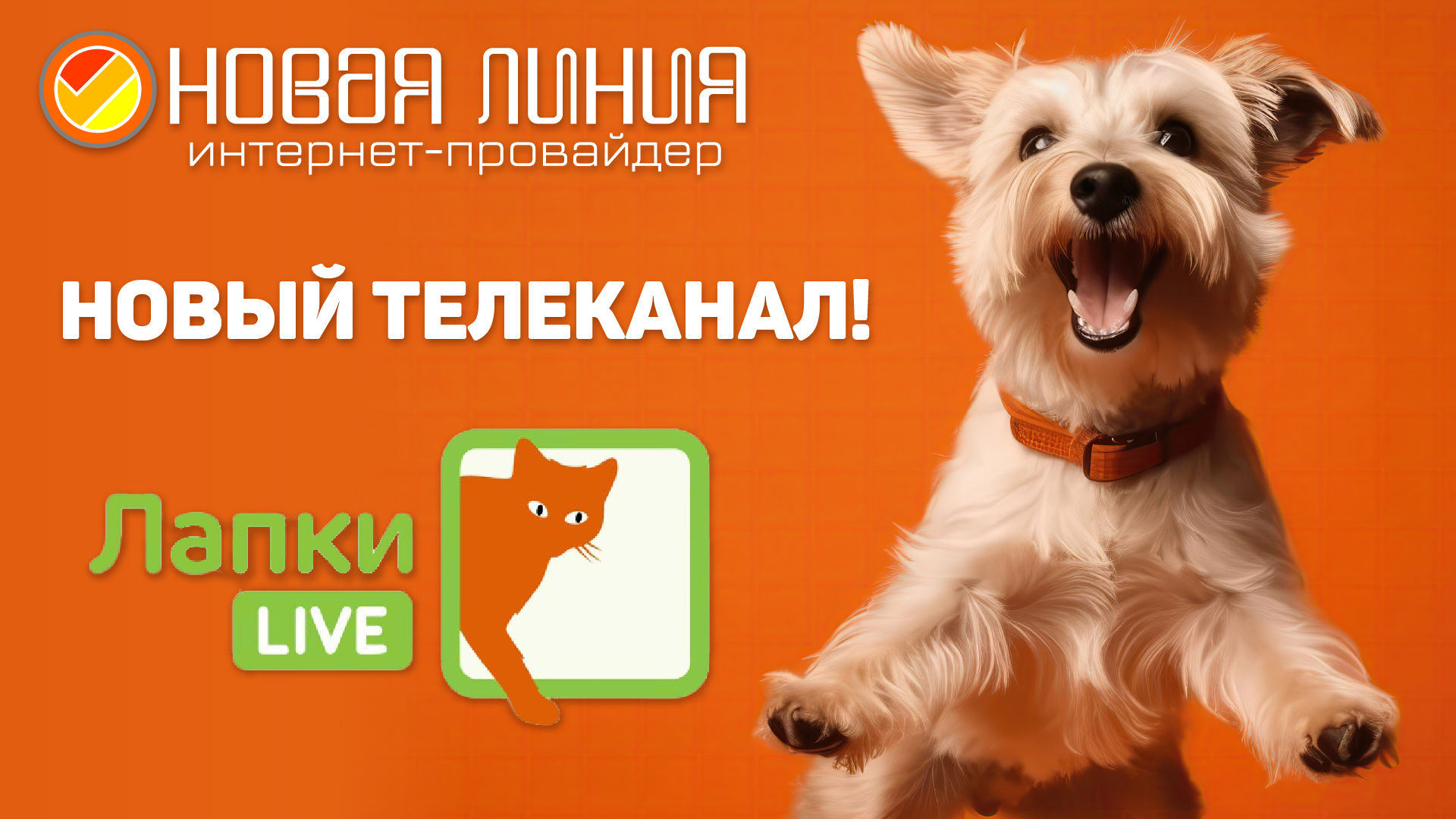 Лапки лайв