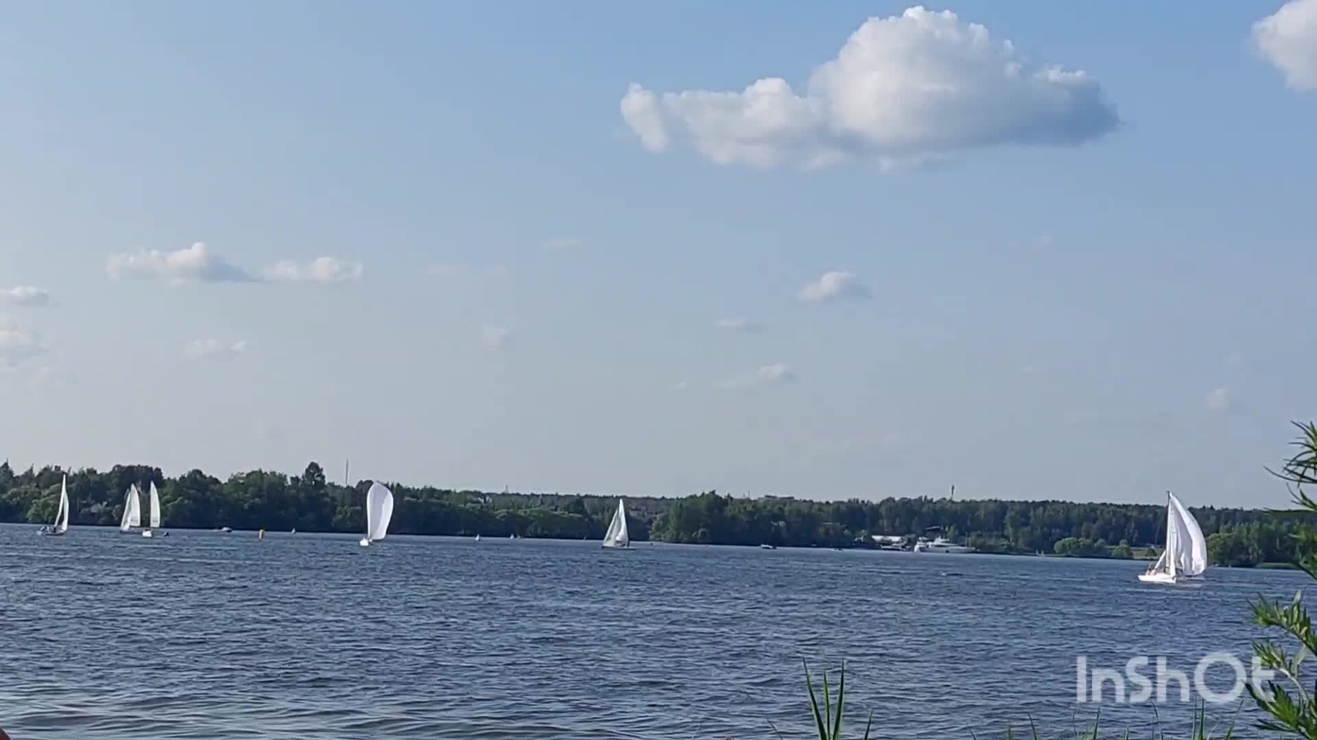 пляж на пироговском водохранилище