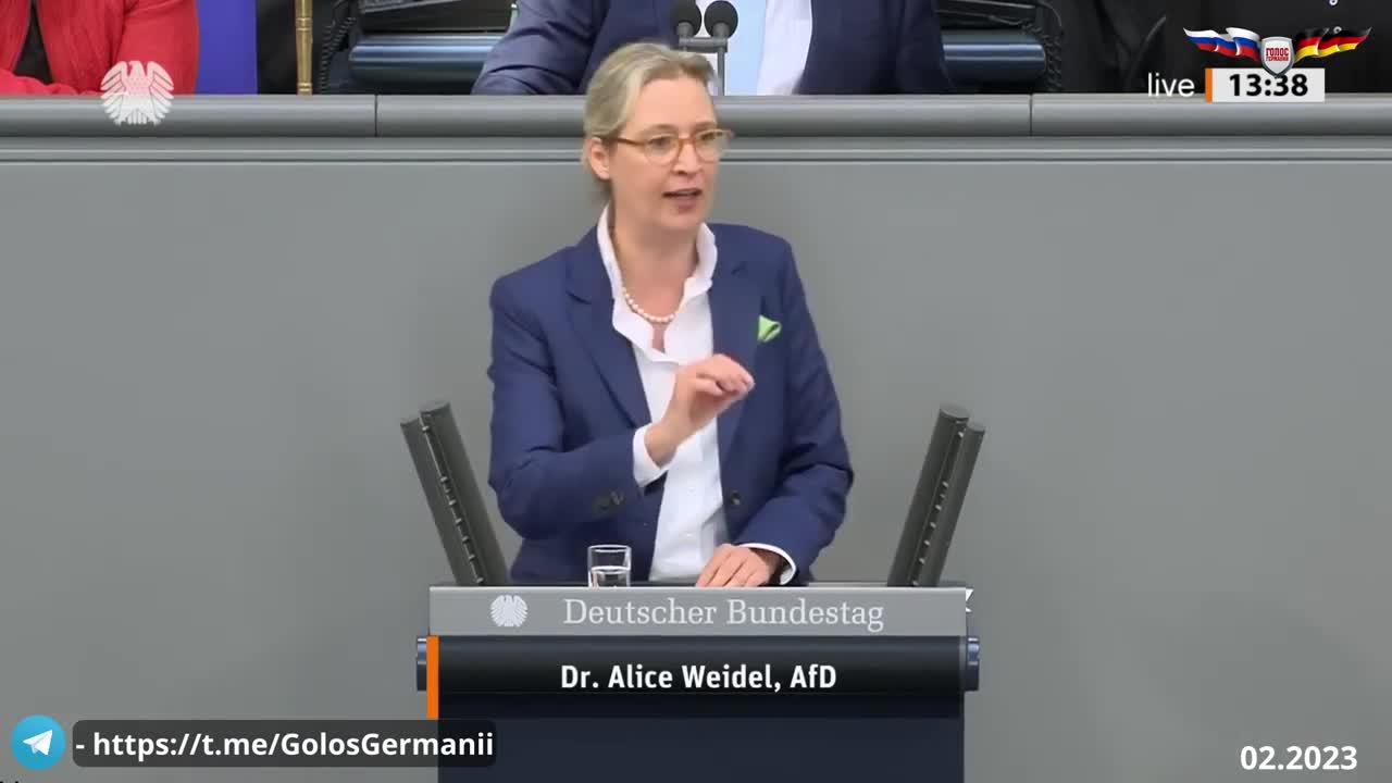 Алиса вайдель в купальнике. Выступление вайдель в бундестаге. Выступление в бундестаге алиса. Алиса вайдель выступление в бундестаге. Алиса вайдель выступление в бундестаге.