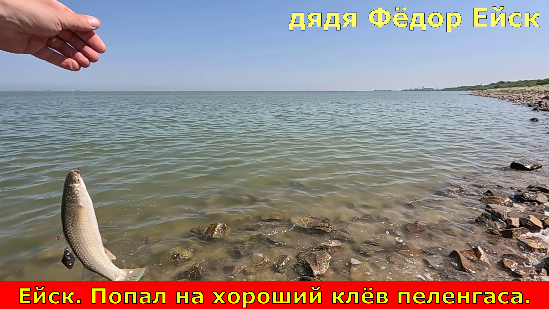 азовское море и таганрогский залив