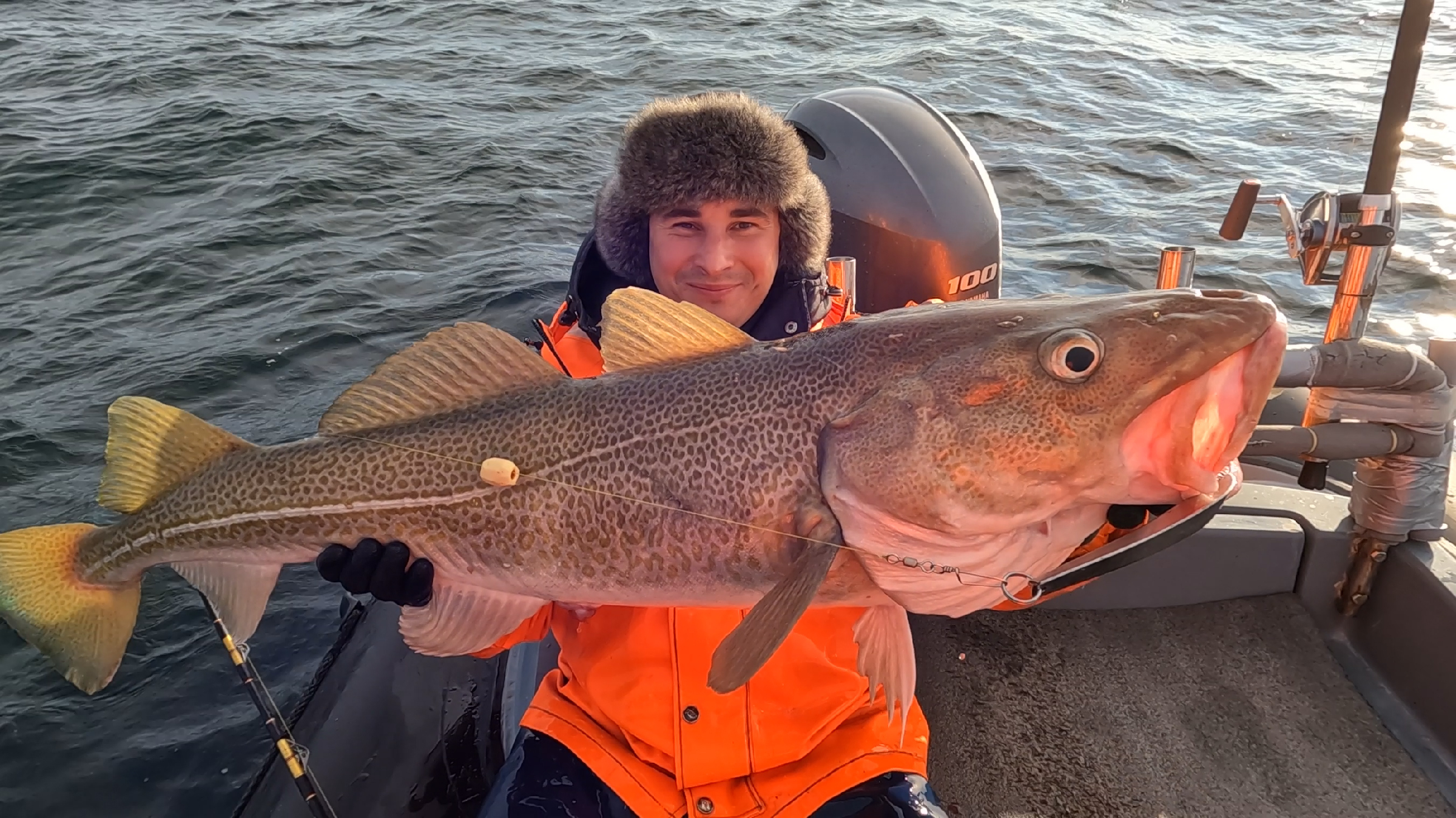 рыба на совещании. рыбы и рыбалка. рыбаки. умба горбуша 2023. рыбалка в японском море.