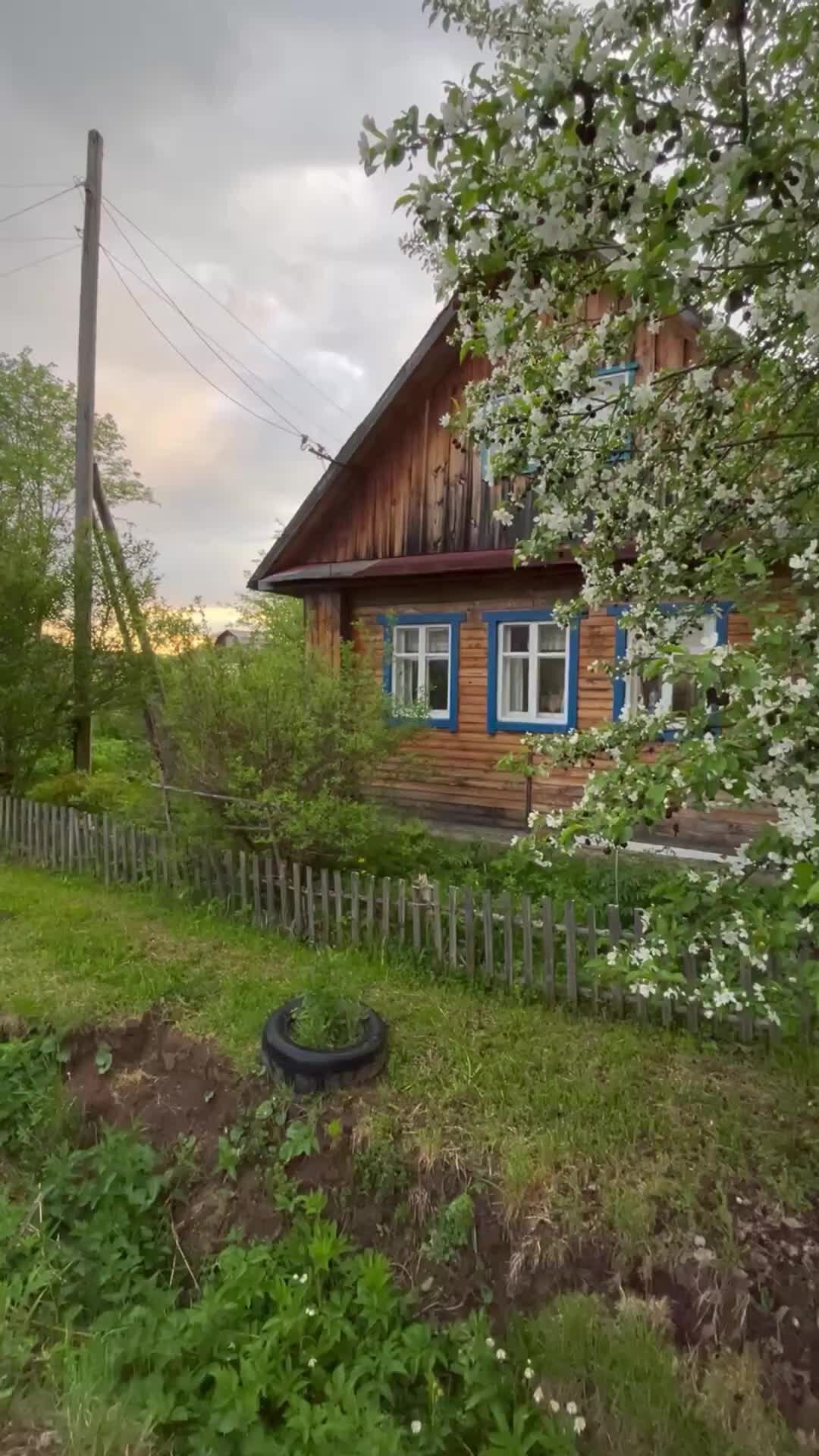 Люблю жизнь и фотографирую | красивым вечером у нашего домика | Дзен