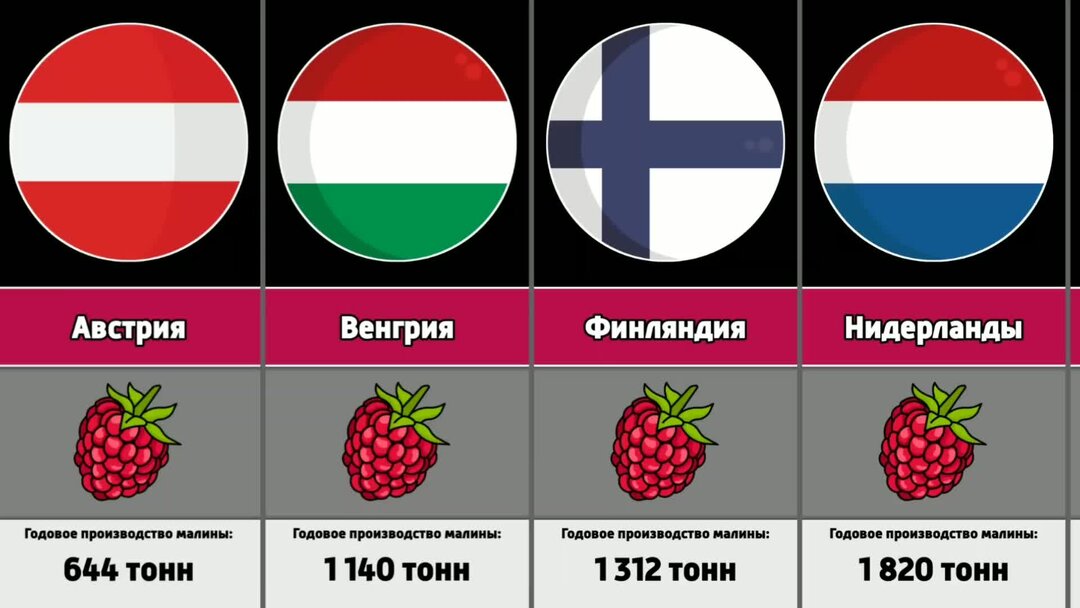 100 грамм малины. Сорт ремонтантной малины полька. Малина какие витамины содержит. Малина на рынке. Сколько малин.