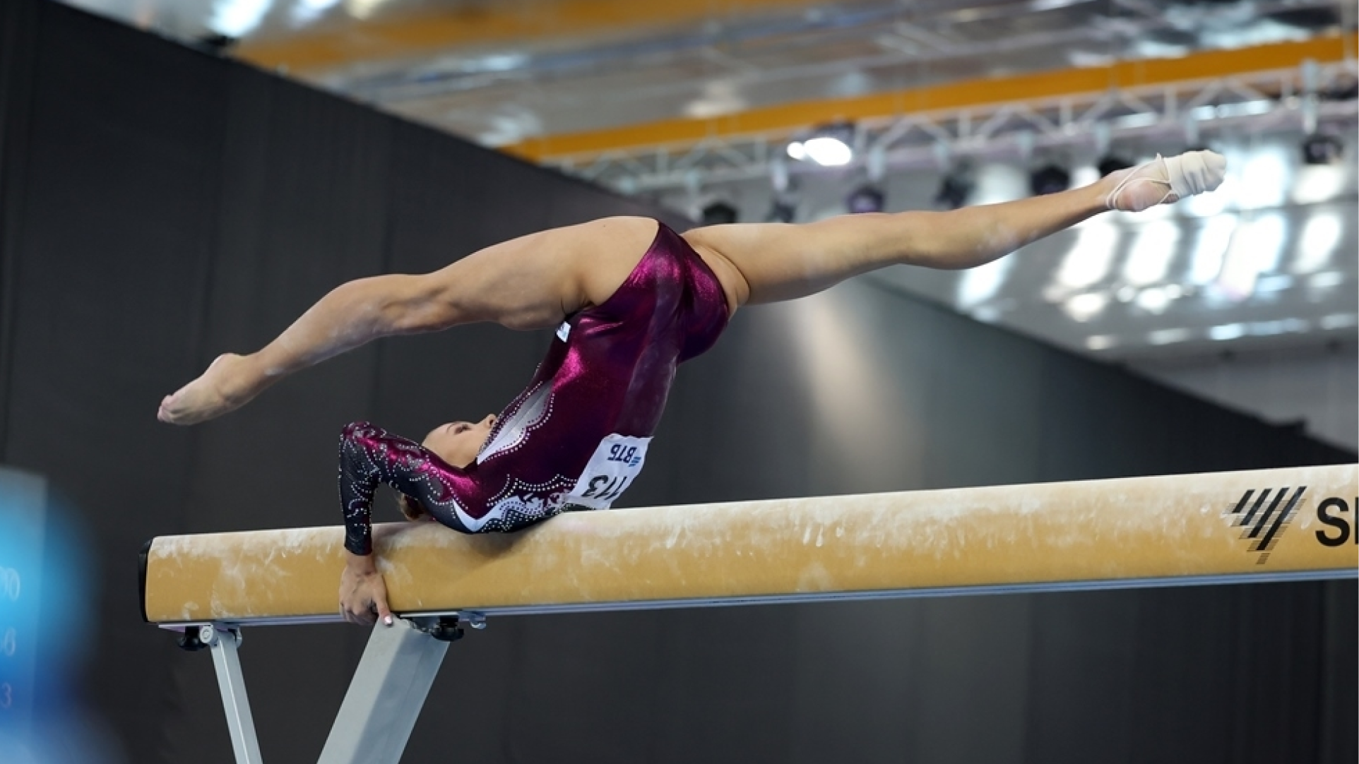 Соревнования по спортивной гимнастике 2023 красноярск