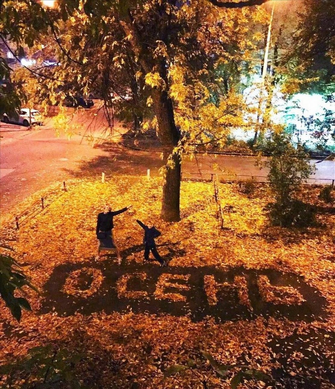 Осень картинки прикольные