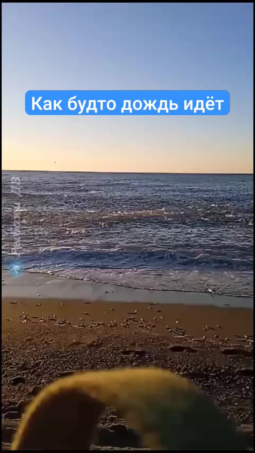 Профессиональная видеосъемка. Статус про корону на голове. Оператор с камерой. Буду ждать тебя во сне. Они как будто снимают.