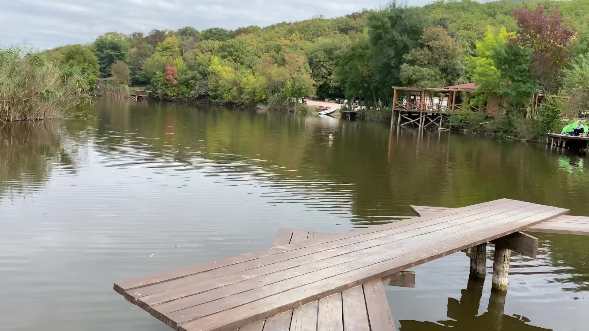 торопова дача пруд. торопова дача севастополь. тороповы дачи севастополь. торопова дача 2012. орта кая торопова дача.